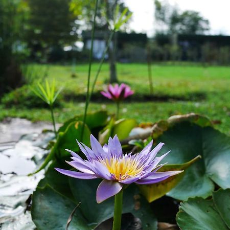 Love Pai Home المظهر الخارجي الصورة